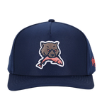 WAGGLE KODIAK CAP