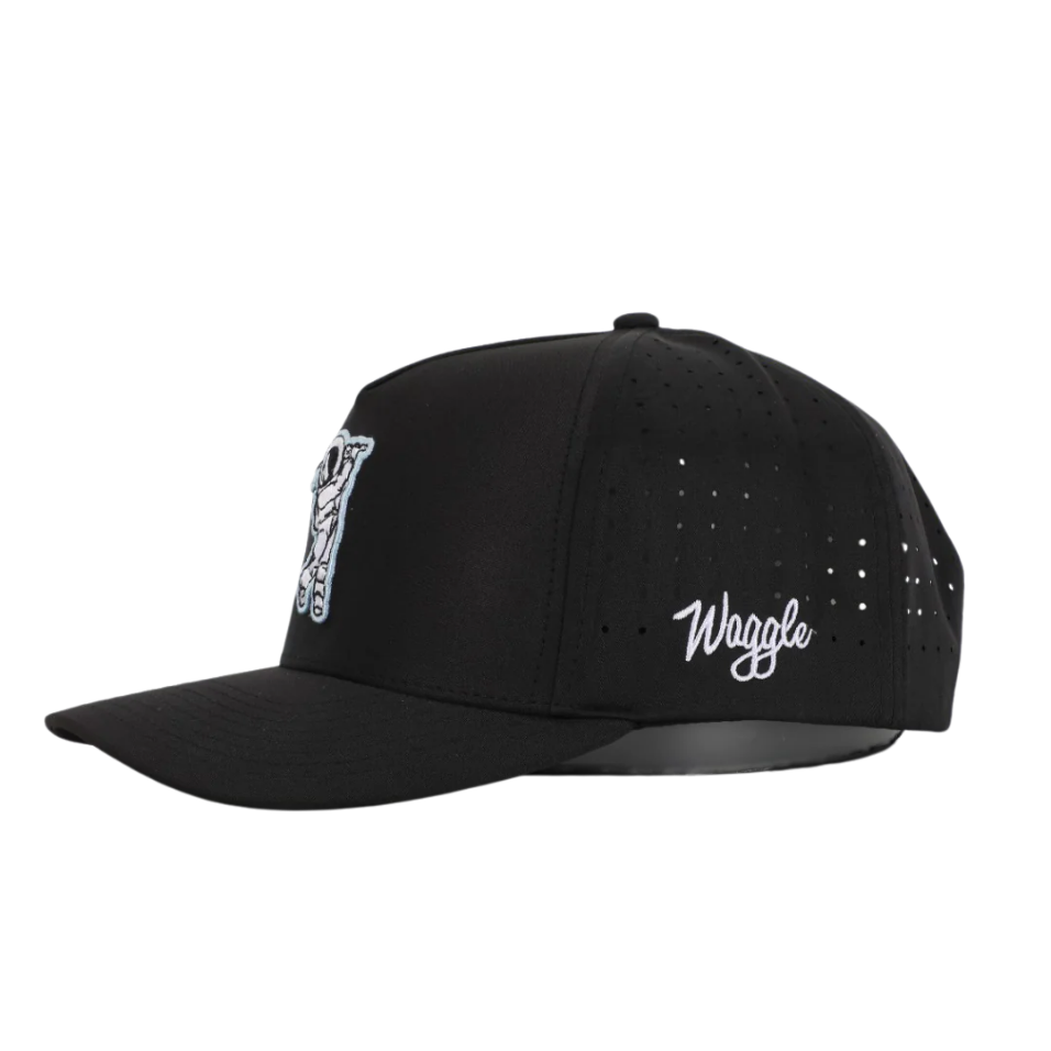 WAGGLE MOON SHOT CAP