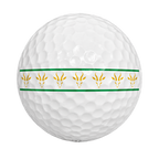 TITLEIST PRO V1 2026 SOUTH AFRICAN LIMITED EDITION